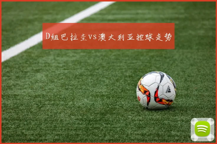 D组巴拉圭vs澳大利亚控球走势