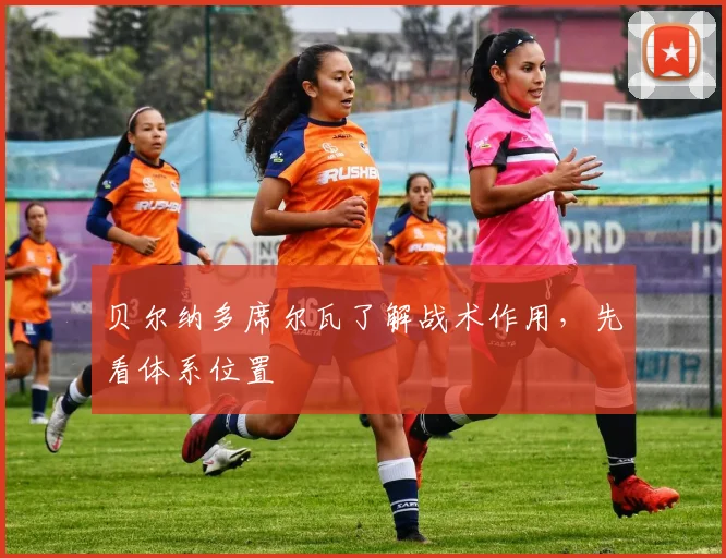 贝尔纳多席尔瓦了解战术作用,先看体系位置