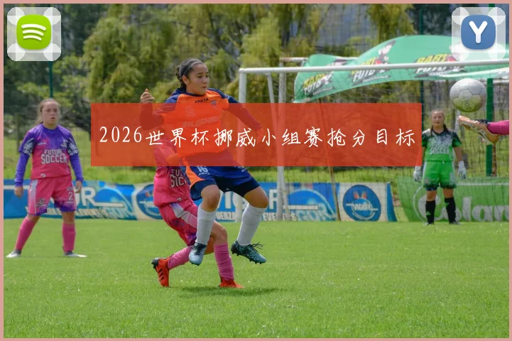 2026世界杯挪威小组赛抢分目标