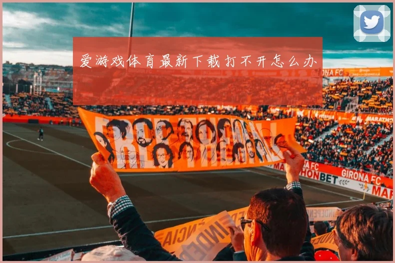 爱游戏体育最新下载打不开怎么办