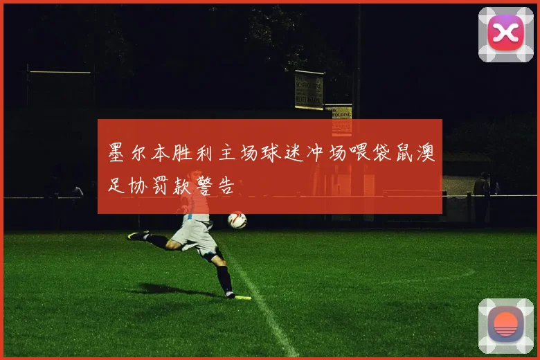 墨尔本胜利主场球迷冲场喂袋鼠澳足协罚款警告
