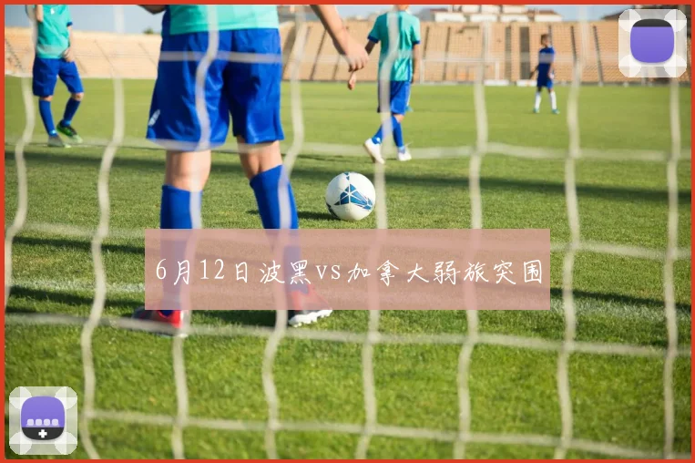 6月12日波黑vs加拿大弱旅突围